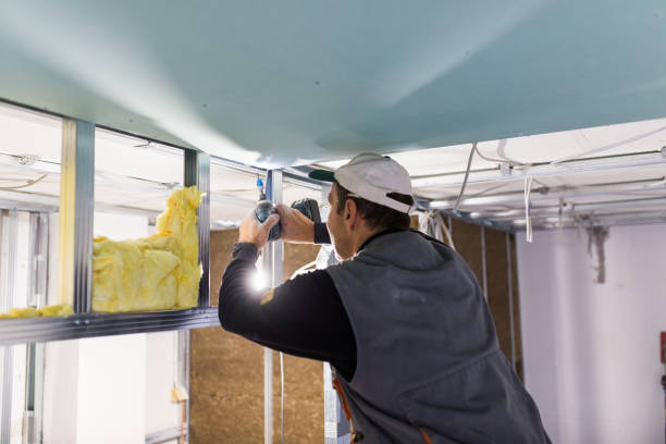 Best Insulation Removal Services  in Hemlock Farms, PA