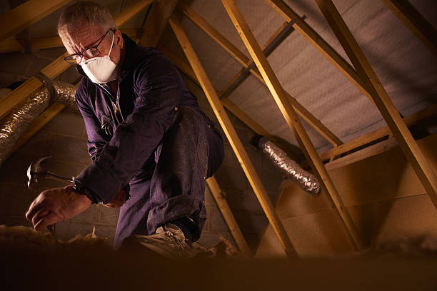 Best Home Insulation Services  in Hemlock Farms, PA